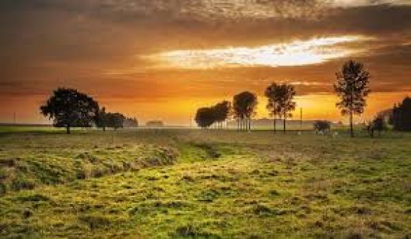 Fazenda Cruzeiro Localizada em Uberlândia